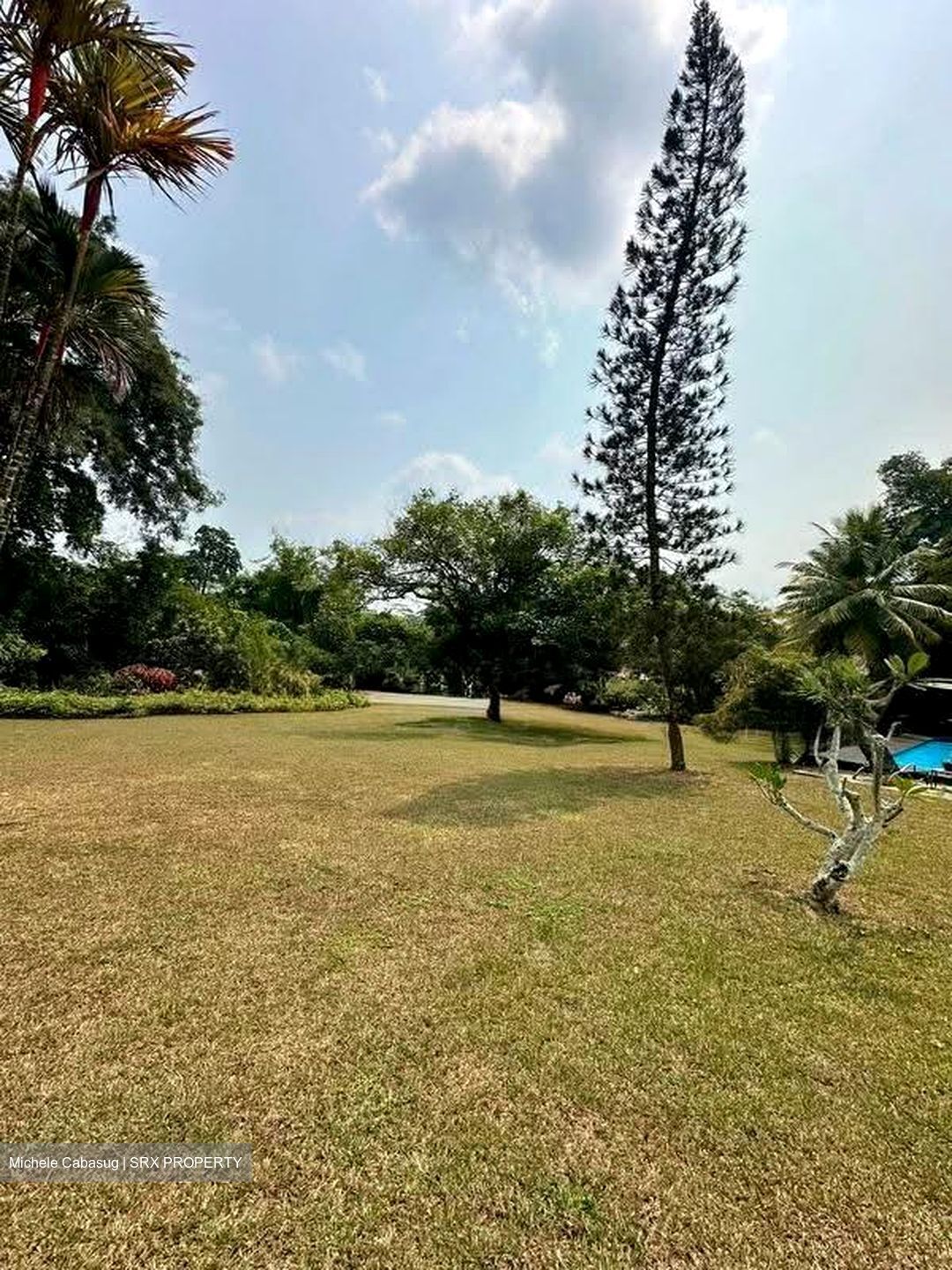 Mount Pleasant Road (D11), Detached #612879641